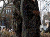 chu-man-copy.jpg
